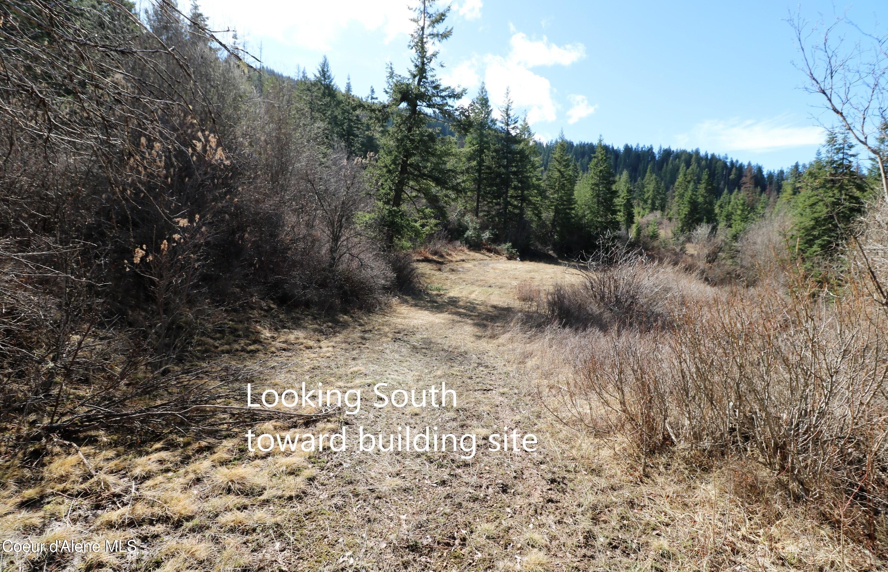 5 Thimbleberry Lane Plummer, ID 83851 - Photo 14 of 27 Looking South to Building Site