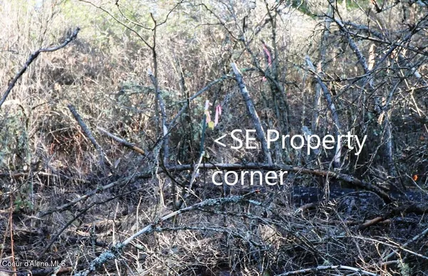 $199,990 | 5 Thimbleberry Lane, Plummer, ID 83851