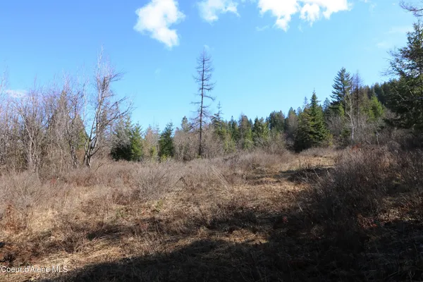 $199,990 | 5 Thimbleberry Lane, Plummer, ID 83851