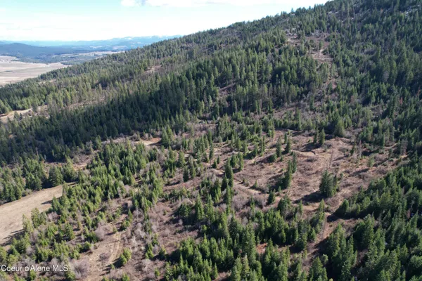 $199,990 | 5 Thimbleberry Lane, Plummer, ID 83851