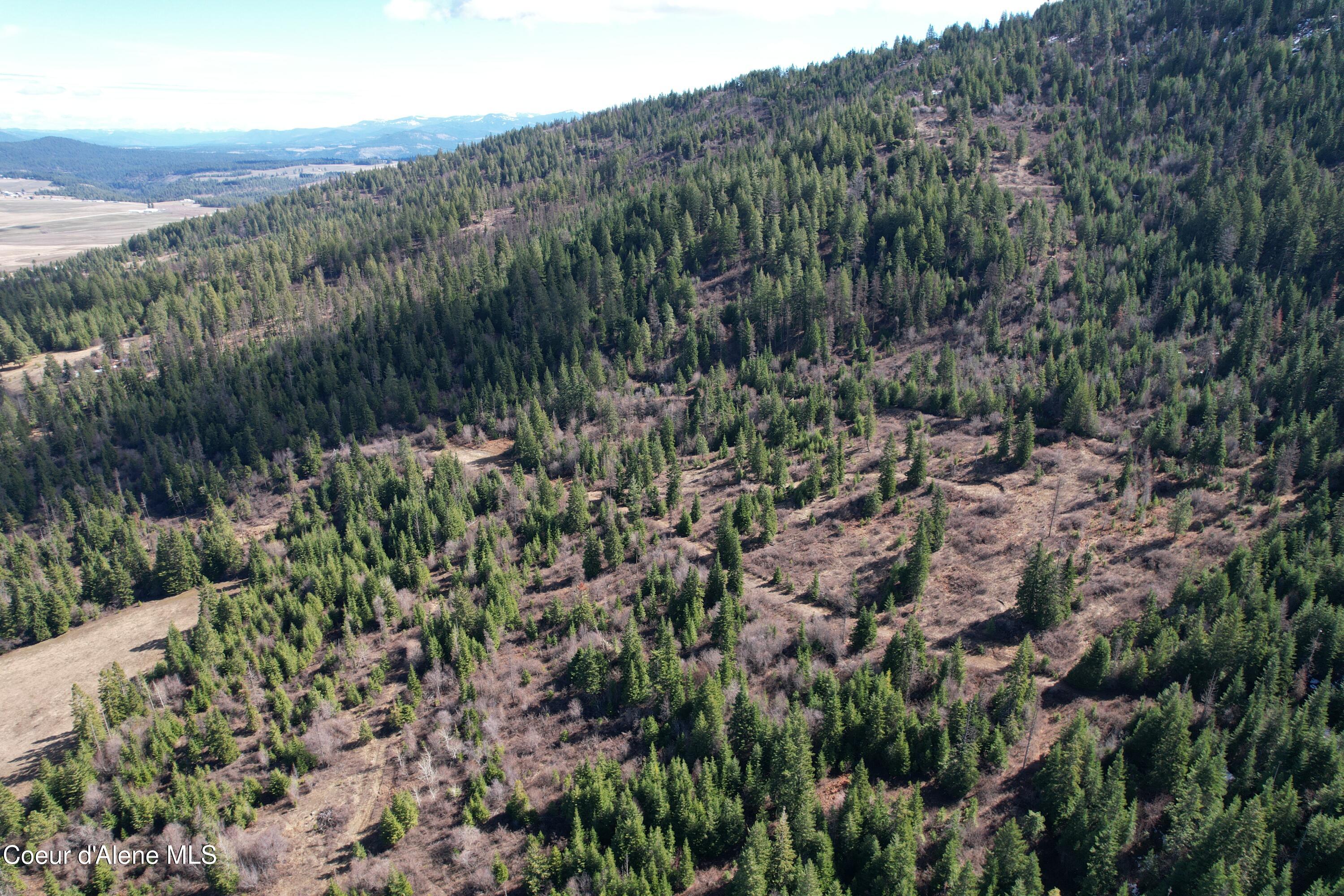 5 Thimbleberry Lane Plummer, ID 83851 - Photo 21 of 27 Overview