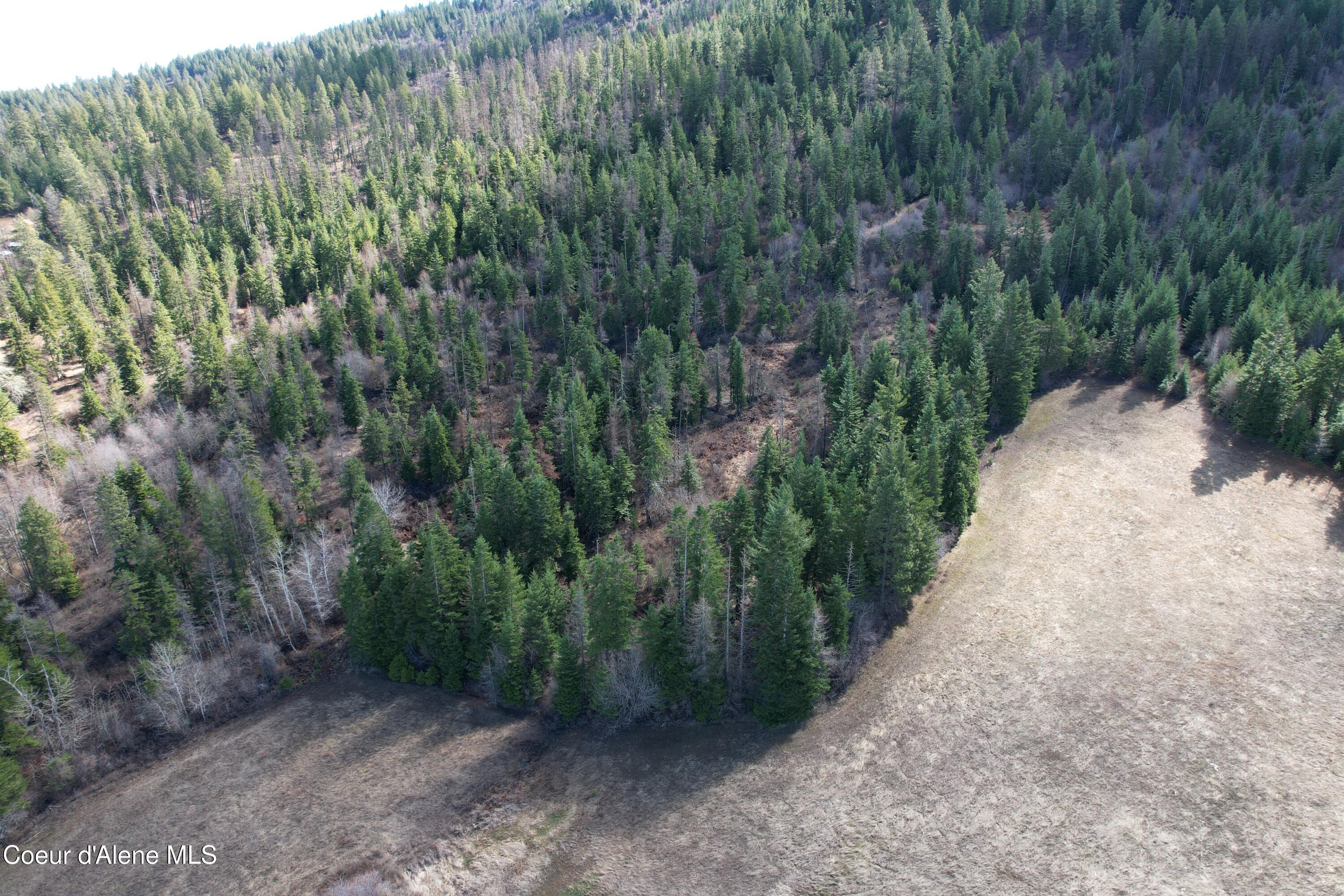5 Thimbleberry Lane Plummer, ID 83851 - Photo 3 of 27 2 field alcoves