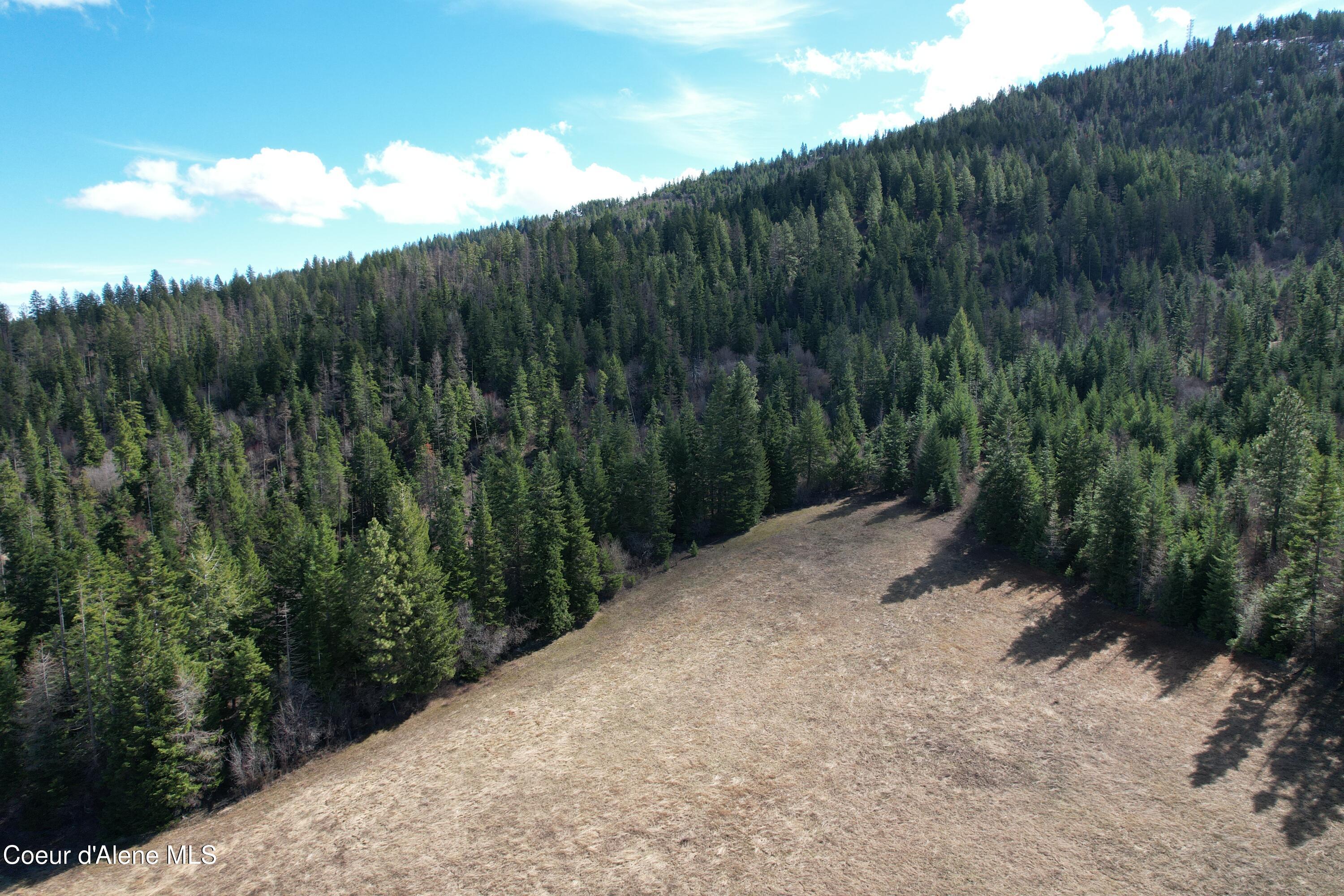 5 Thimbleberry Lane Plummer, ID 83851 - Photo 10 of 27 Larger field alcove