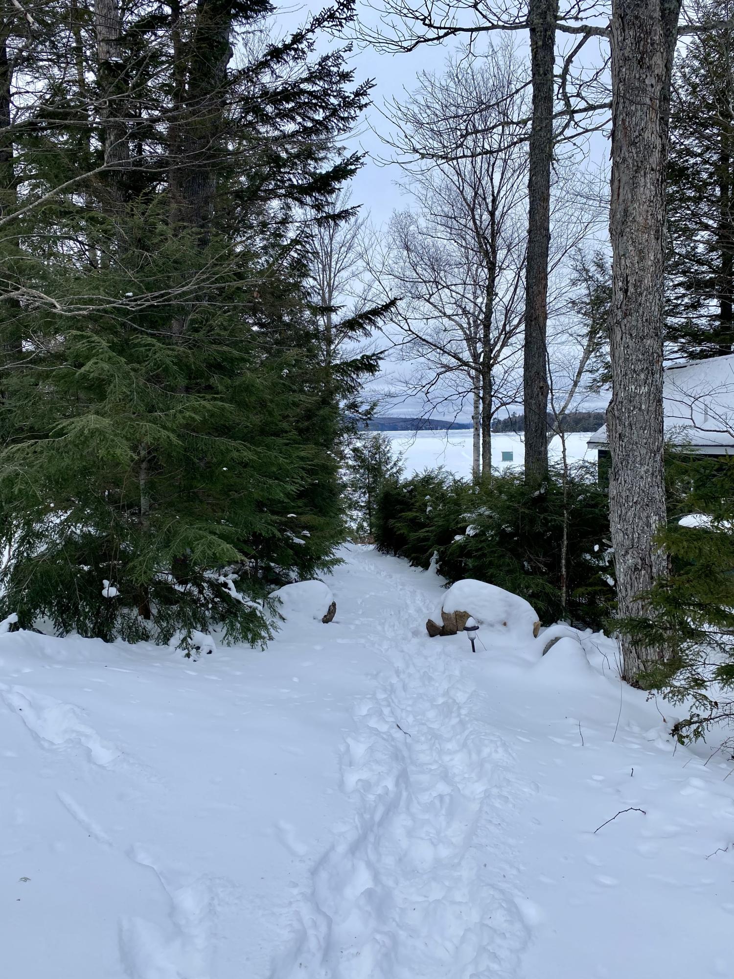 37 Sandy Bay Road Greenville, ME 04441 - Photo 20 of 48 ECE31AB3-4D23-450D-B98C-85B2F342C23F