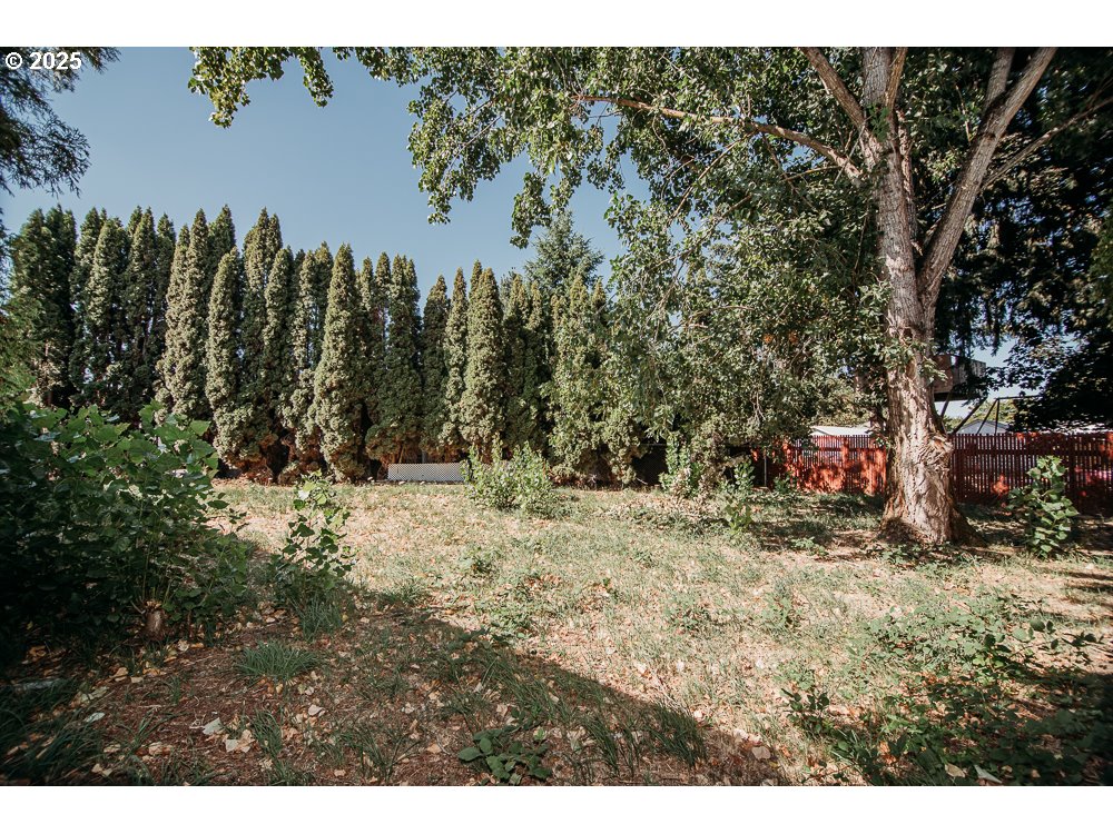 338 Archie Street Eugene, OR 97402 - Photo 26 of 34