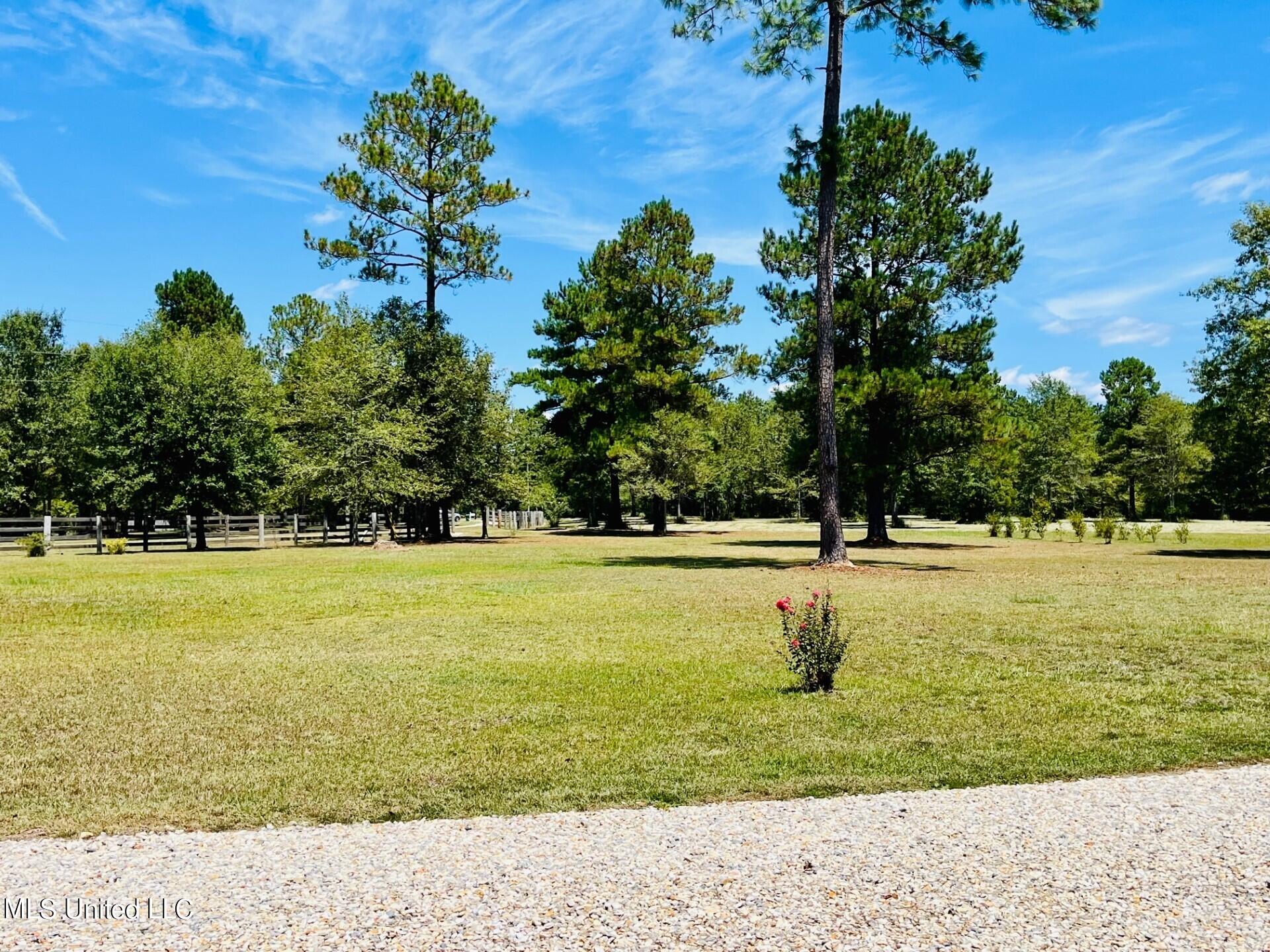 12873 Indian Springs Road Picayune, MS 39466 - Photo 21 of 33 IS 22