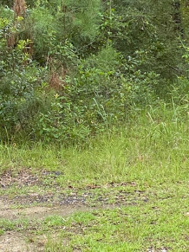 8550 Boyd Lane Creola, AL 36525 - Photo 3 of 4