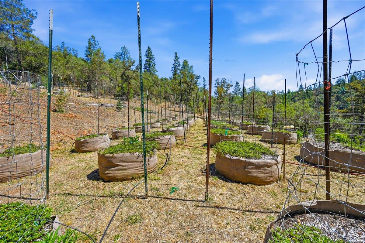 17468 Scopar Road Grass Valley, CA 95949 - Photo 29 of 45