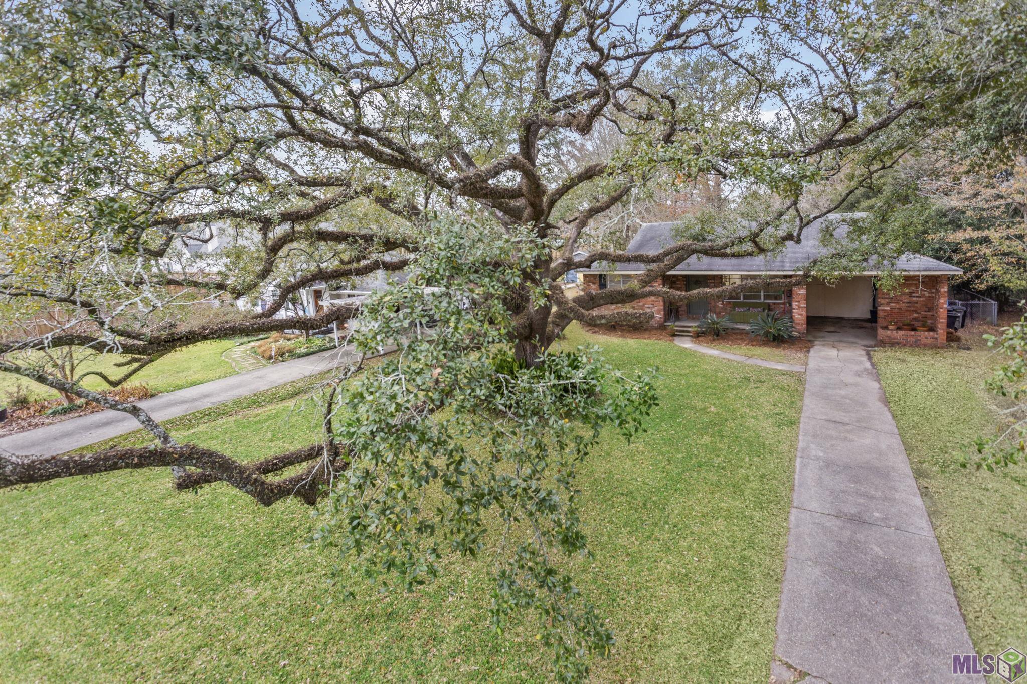 720 Pierce Avenue Baton Rouge, LA 70806 - Photo 3 of 21 Gallery Image 3