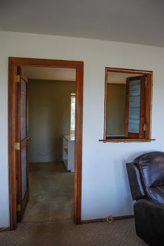 a view of a yard with plants and large trees