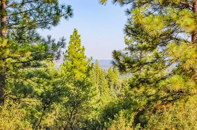 $275,000 | 999 Doe Road, Rail Road Flat, CA 95245