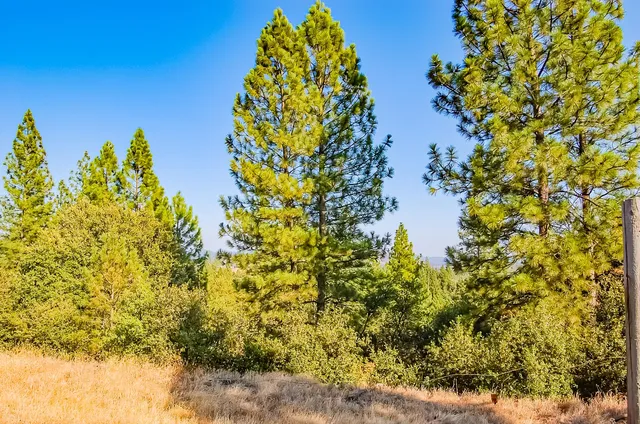 $275,000 | 999 Doe Road, Rail Road Flat, CA 95245