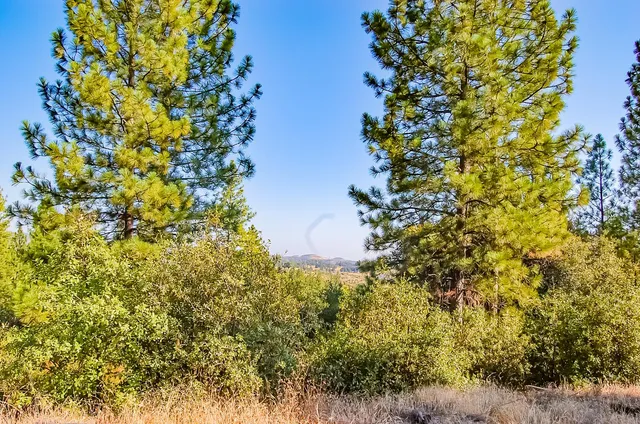 $275,000 | 999 Doe Road, Rail Road Flat, CA 95245