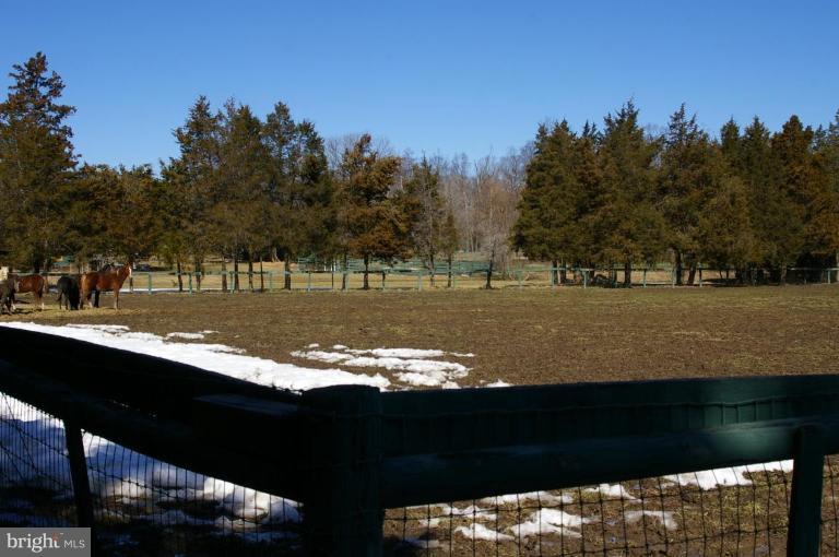 13219 Raccoon Ford Road Culpeper, VA 22701 - Photo 11 of 20 paddock looking "into" the property