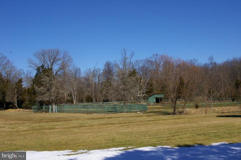 13219 Raccoon Ford Road Culpeper, VA 22701 - Photo 17 of 20 round pen