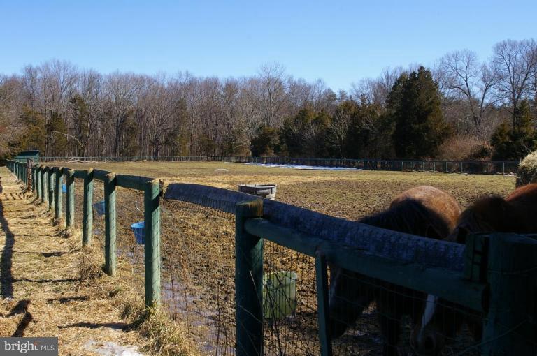 13219 Raccoon Ford Road Culpeper, VA 22701 - Photo 8 of 20 Pasture
