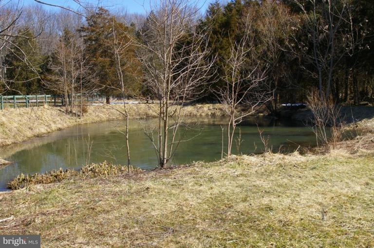 13219 Raccoon Ford Road Culpeper, VA 22701 - Photo 10 of 20 Pond