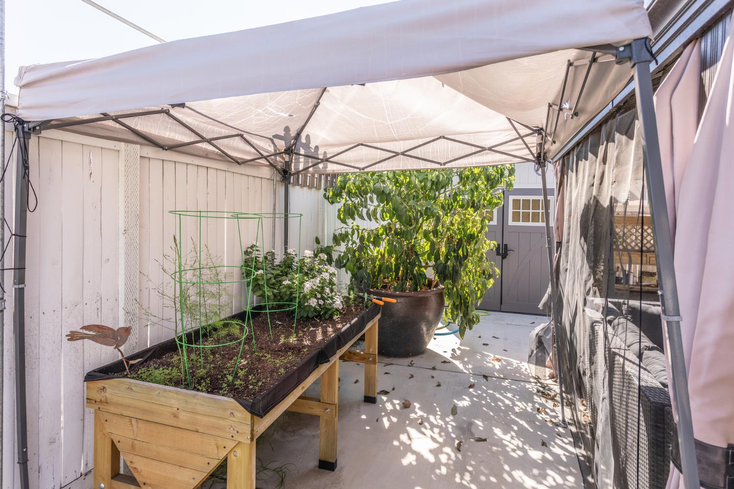 2227 North Highland Avenue Clovis, CA 93619 - Photo 45 of 48 a backyard of a house with outdoor seating
