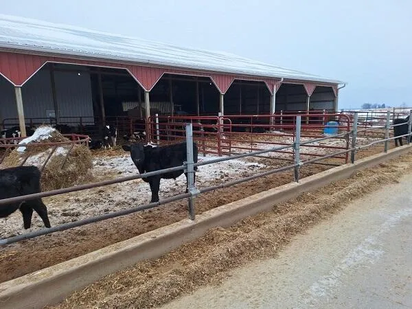 $1,400,000 | S5044 Nottingham Road, Jefferson, WI 54665