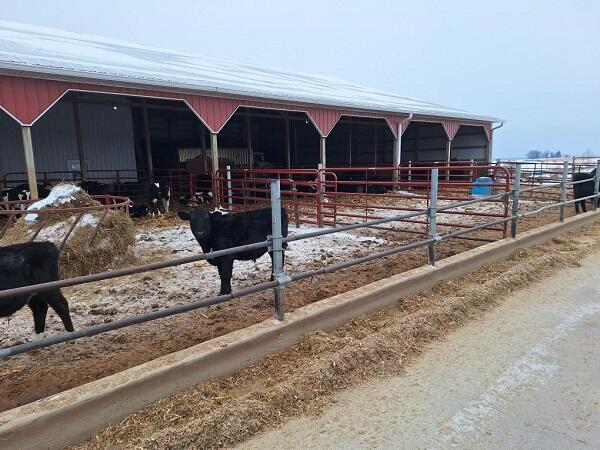 S5044 Nottingham Road Jefferson, WI 54665 - Photo 30 of 36 Resized952025121295112942