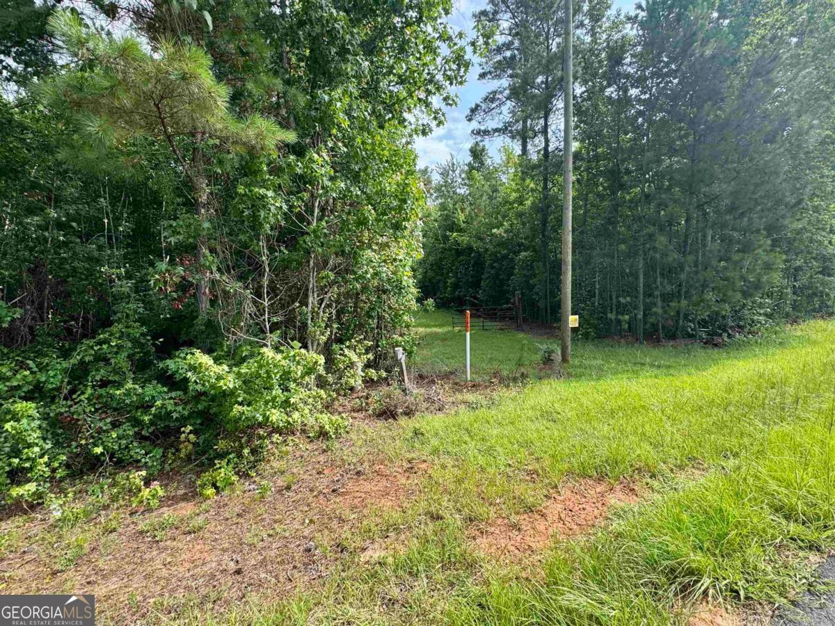 0 Springfield / Turner Road Union Point, GA 30669 - Photo 27 of 34