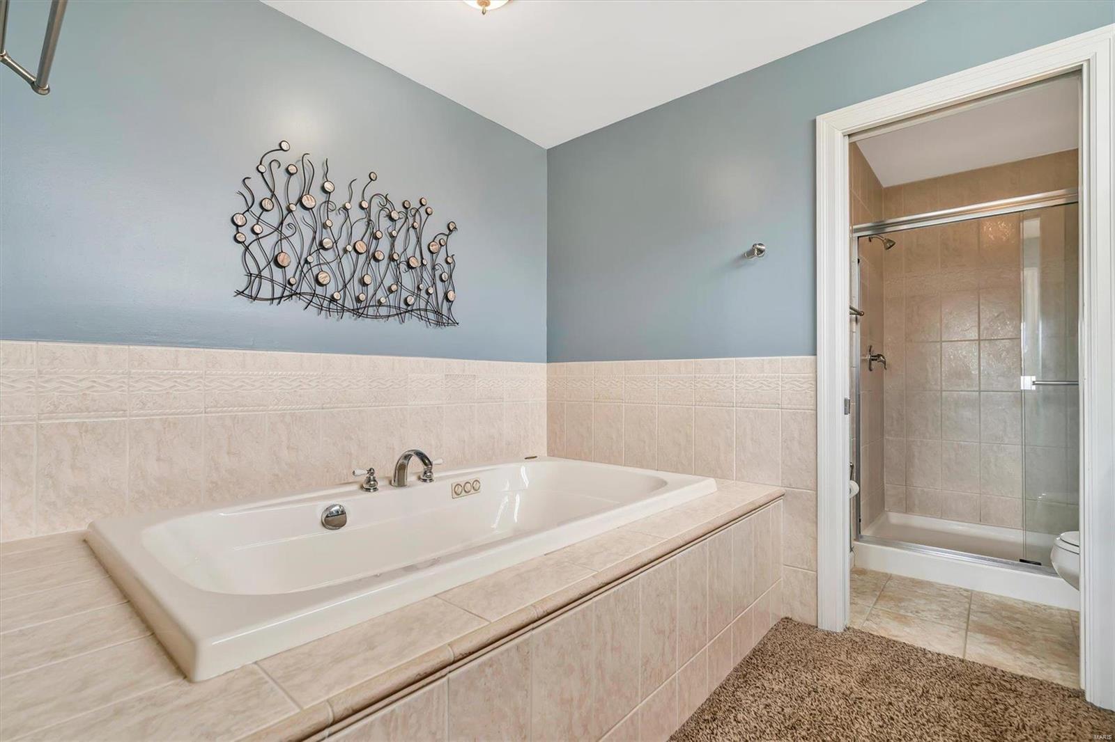 4223 Austin Ridge Drive St. Charles, MO 63304 - Photo 25 of 37