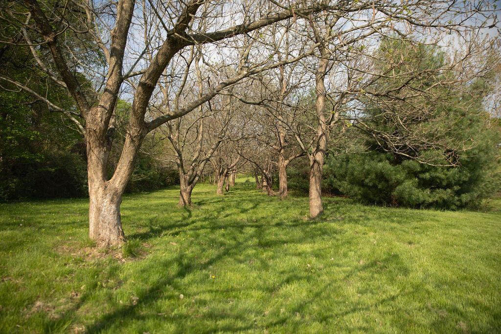 8857 Ringgold Fairfield Road Circleville, OH 43113 - Photo 24 of 36 Large lot