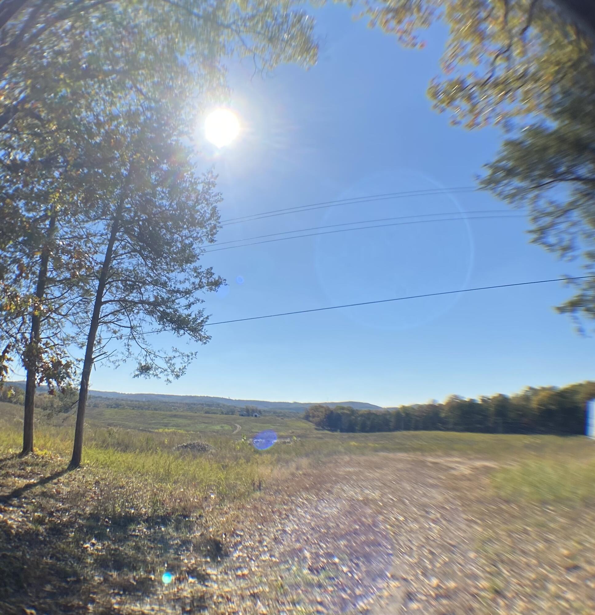 3855 Fall Creek Road Branson, MO 65616 - Photo 8 of 27 Fall Creek Long