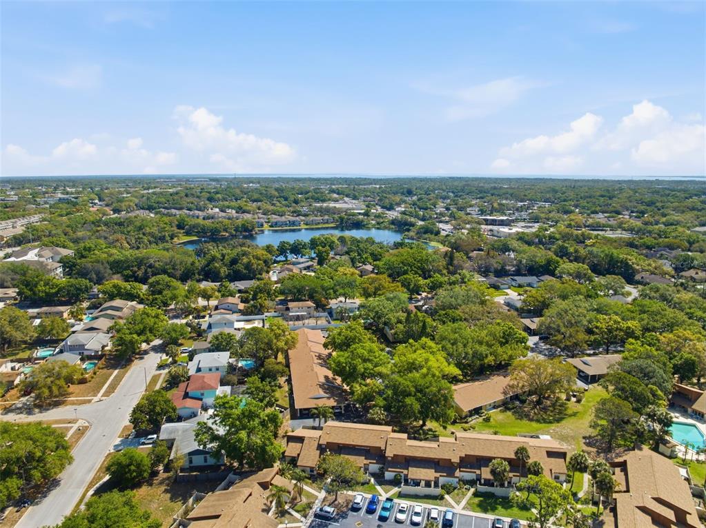 2074 Sunset Point Road, Unit 137 Clearwater, FL 33765 - Photo 34 of 34