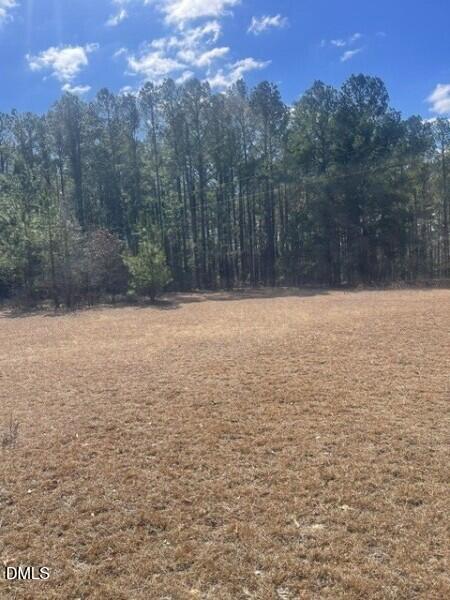 0 North Horace Walters Road Raeford, NC 28376 - Photo 2 of 6 Hoke 2