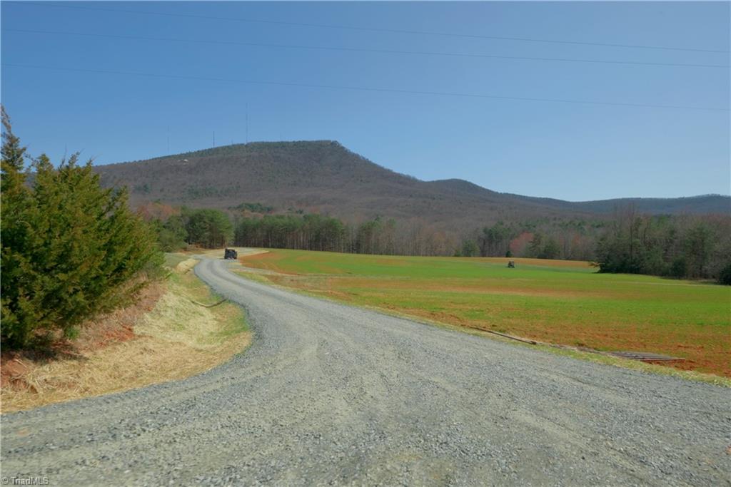 3 Old Mill Road Pinnacle, NC 27043 - Photo 3 of 22