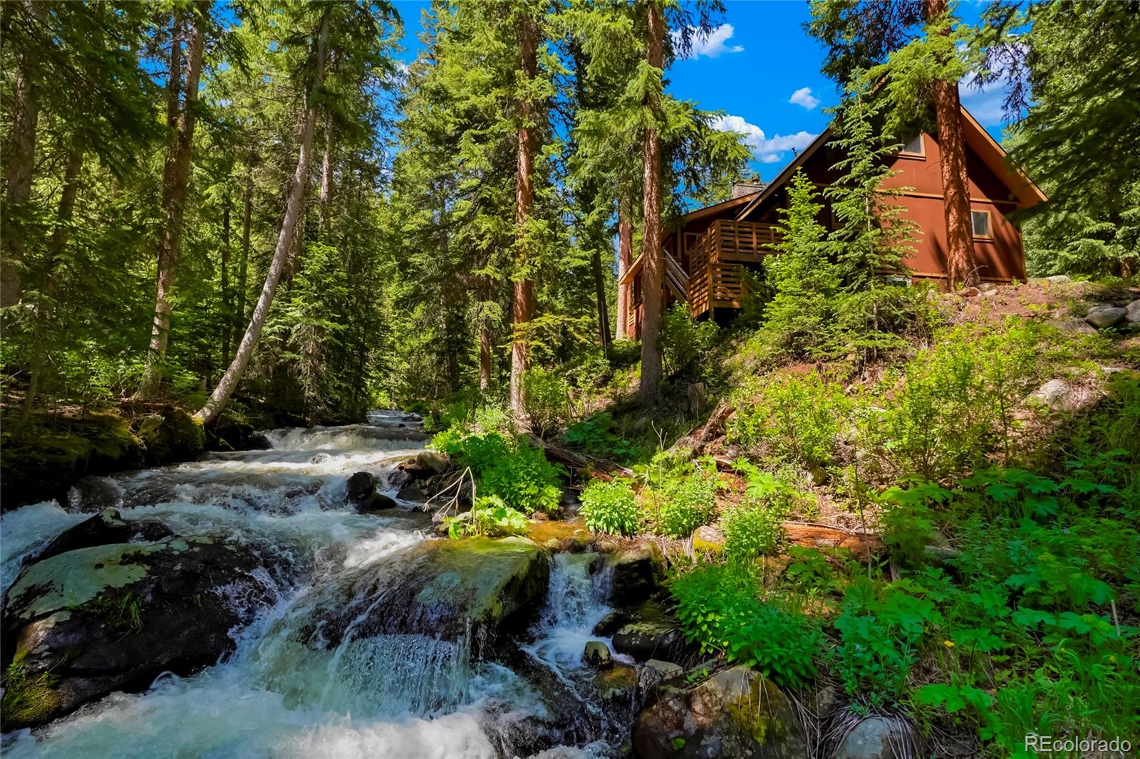 a backyard of a house with a garden and plants