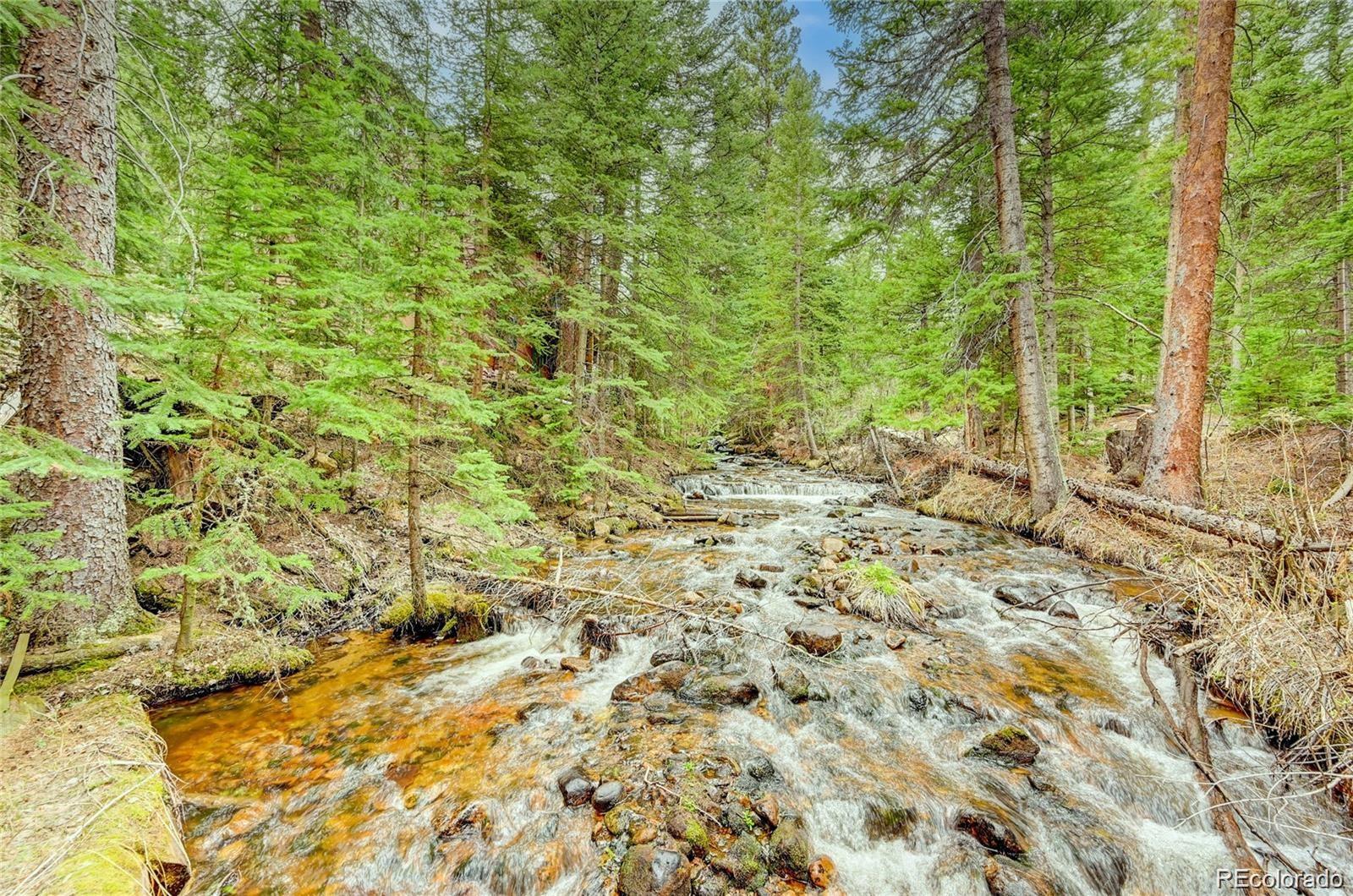 3237 Mill Creek Road Dumont, CO 80436 - Photo 40 of 48 a view of a yard with a tree