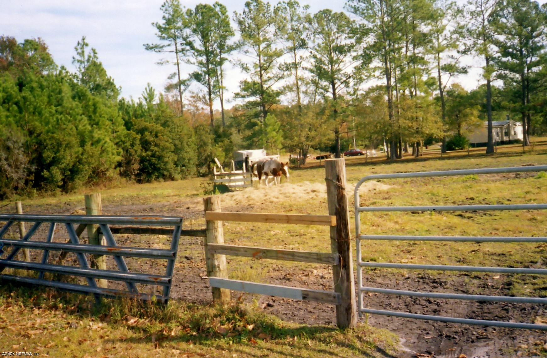 128 Pinetree Road Palatka, FL 32177 - Photo 2 of 3 A view of the acreage