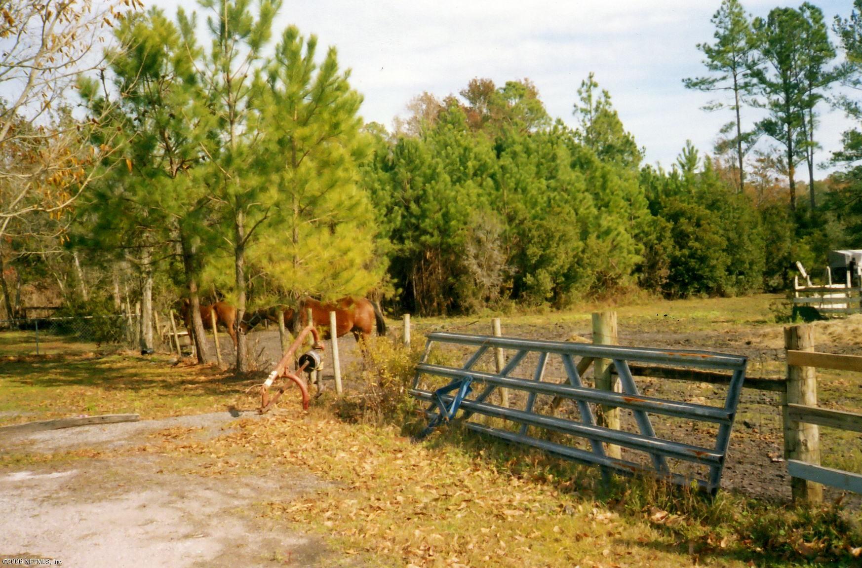 128 Pinetree Road Palatka, FL 32177 - Photo 3 of 3 Another view of the acreage