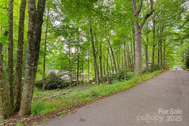 a view of a garden with plants