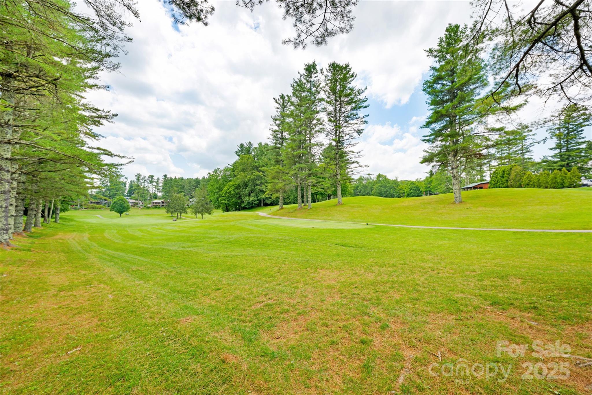 140 Pine View Road, Unit 43 Newland, NC 28657 - Photo 11 of 29 a view of a large trees with lawn chairs