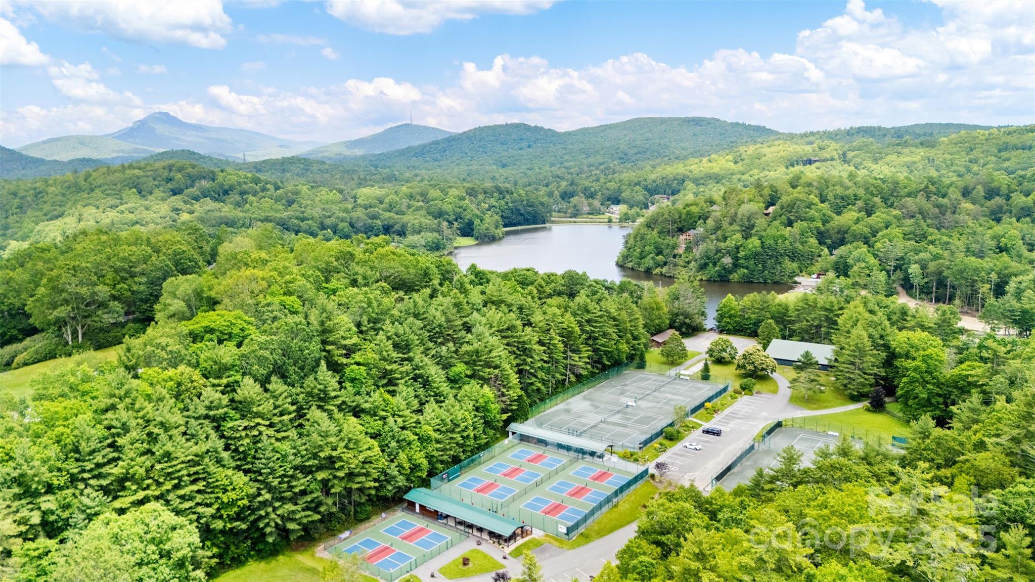 140 Pine View Road, Unit 43 Newland, NC 28657 - Photo 12 of 29 a view of a yard with mountains in the background