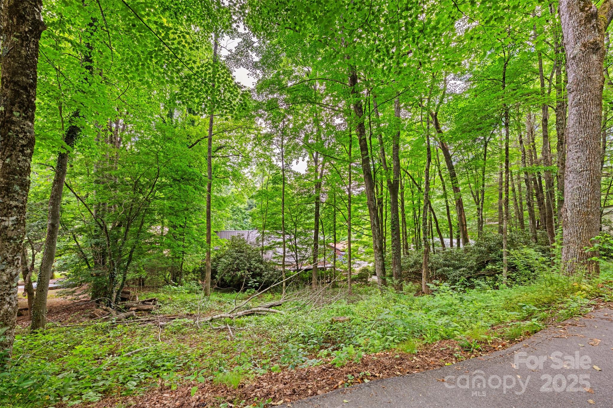 140 Pine View Road, Unit 43 Newland, NC 28657 - Photo 2 of 29 a backyard of a house with lots of green space