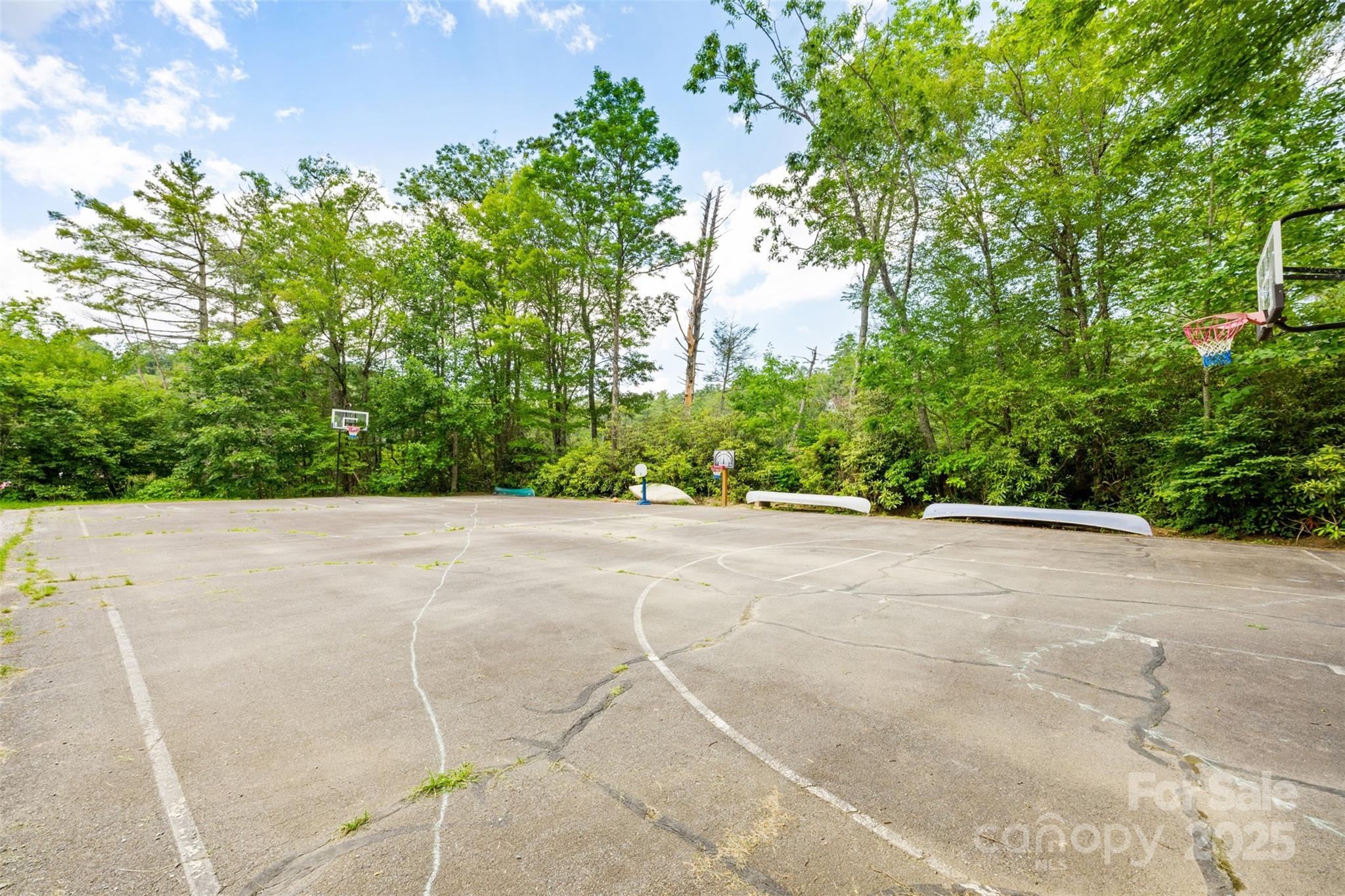 140 Pine View Road, Unit 43 Newland, NC 28657 - Photo 23 of 29 a view of a garden with plants