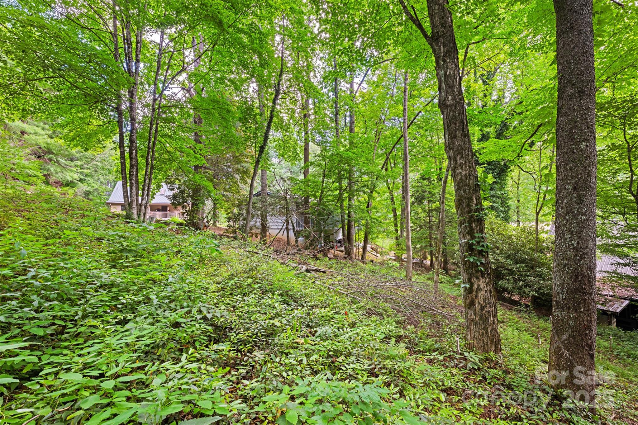 140 Pine View Road, Unit 43 Newland, NC 28657 - Photo 28 of 29 a big yard with lots of green space and trees