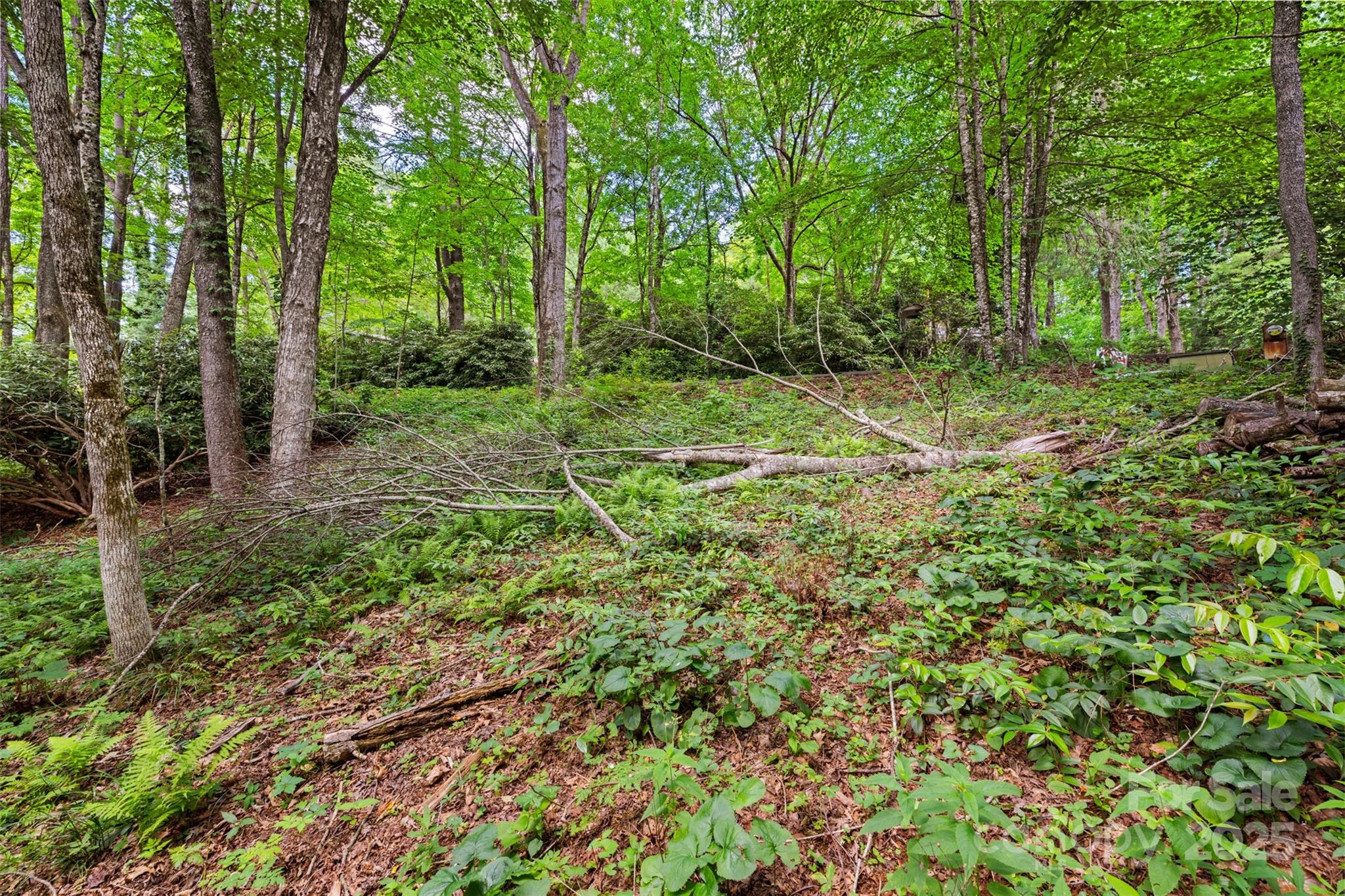 140 Pine View Road, Unit 43 Newland, NC 28657 - Photo 3 of 29 a view of a lush green forest