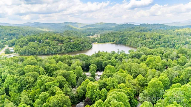 a view of a lush green field with lots of bushes