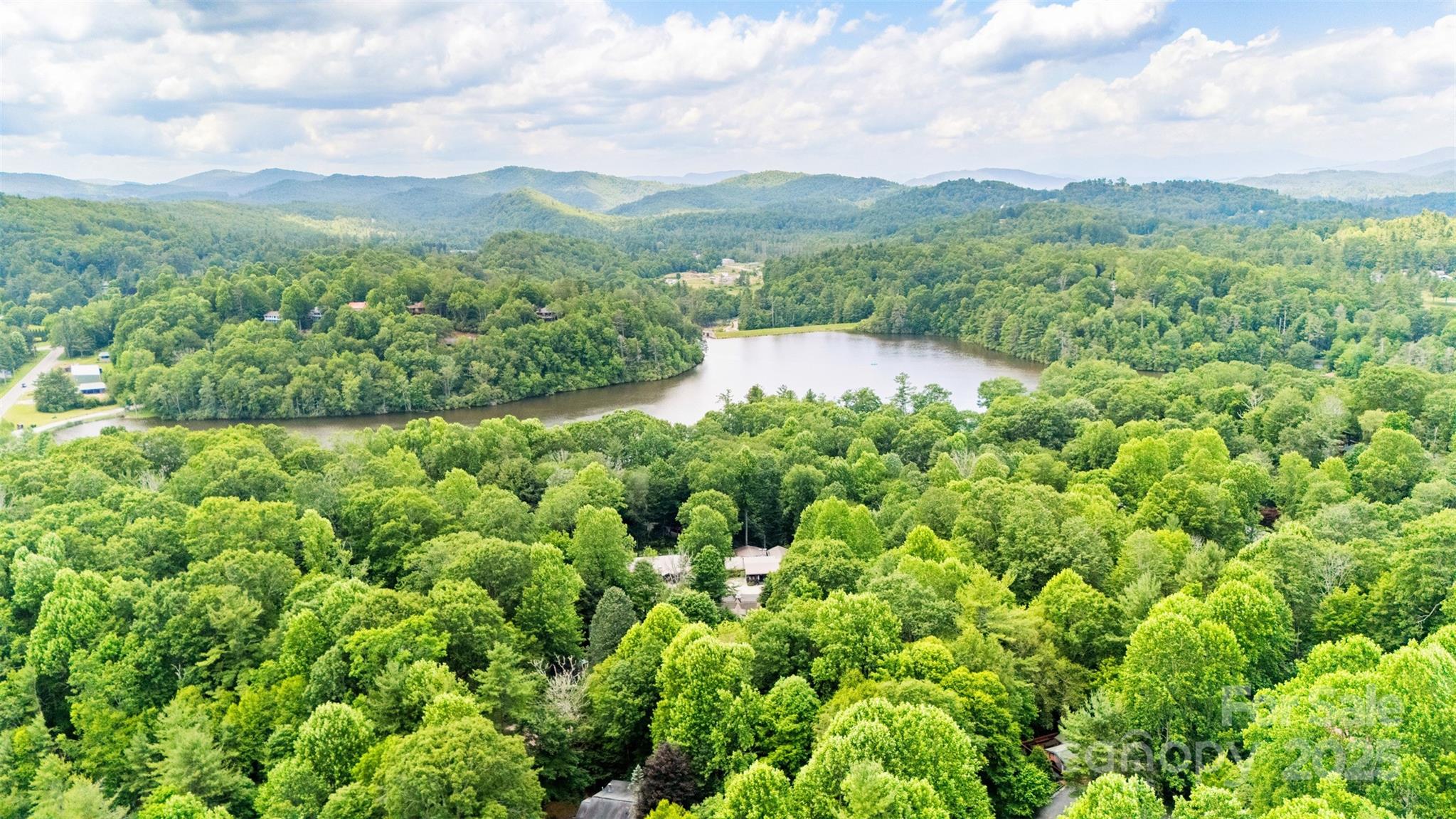 140 Pine View Road, Unit 43 Newland, NC 28657 - Photo 5 of 29 a view of a lush green field with lots of bushes