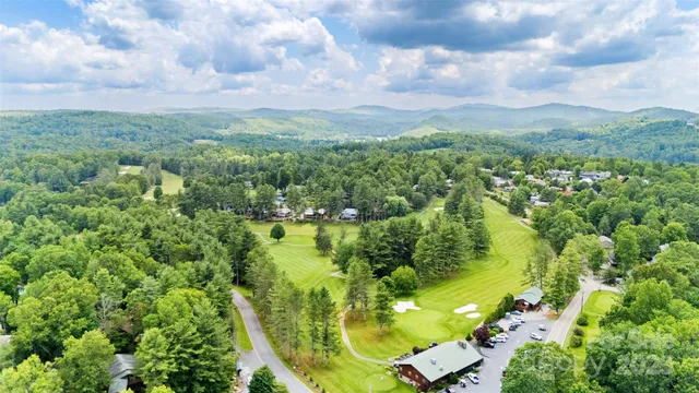 a view of a large trees with lawn chairs