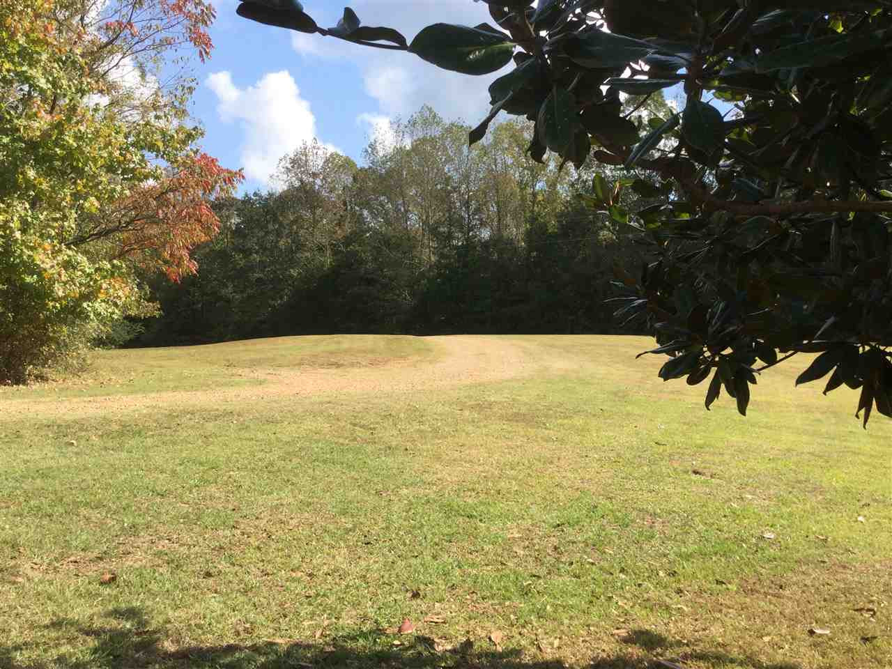 965 Phoenix Road Bentonia, MS 39040 - Photo 39 of 44 Photo 39