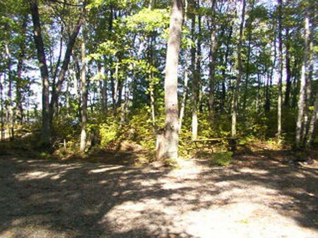 Off South Pine Lake Lane Rhinelander, WI 54501 - Photo 10 of 10 Gallery Image 10