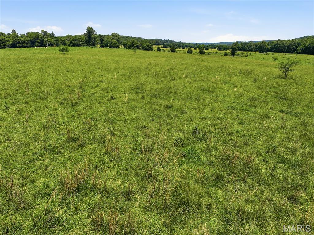 0 Pleasant Hill Road Mountain Grove, MO 65711 - Photo 19 of 51