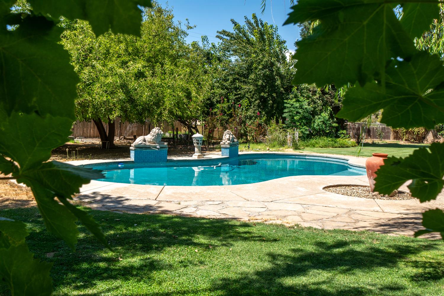 12502 Road 37 1/2 Madera, CA 93636 - Photo 4 of 79 a view of an outdoor space and garden