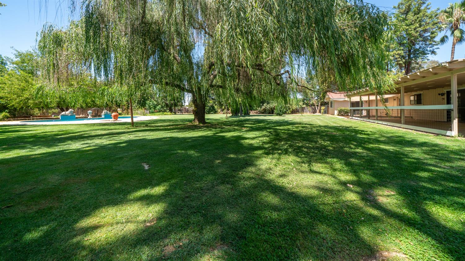 12502 Road 37 1/2 Madera, CA 93636 - Photo 41 of 79 a view of a park with trees